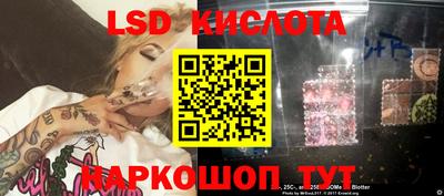 гидра Будённовск