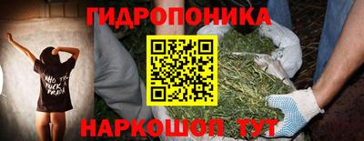 гидра Будённовск
